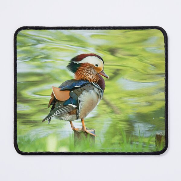 Item preview, Mandarin Duck designed and sold by Dominika Aniola.