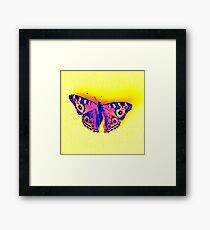 Fluro butterfly up Framed Print