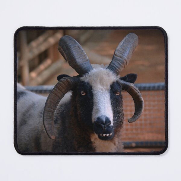 Item preview, Jacob Sheep designed and sold by Savannah Gibbs.