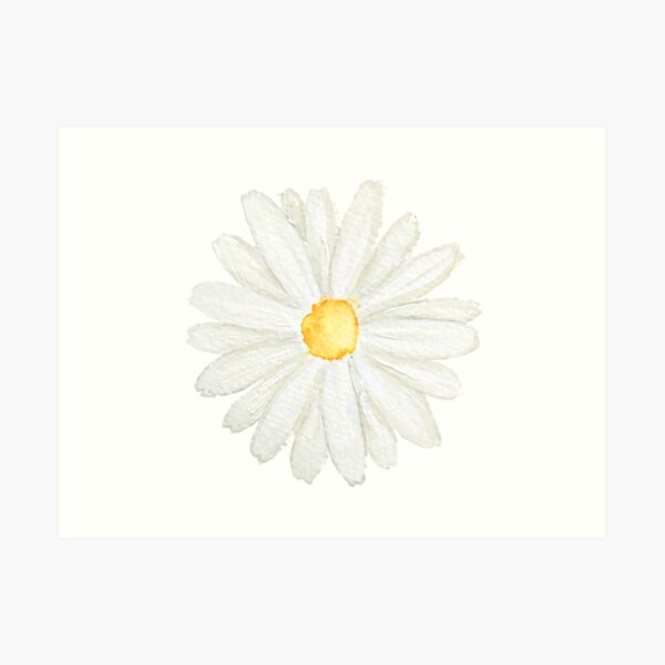 one little white daisy watercolor Art Print
