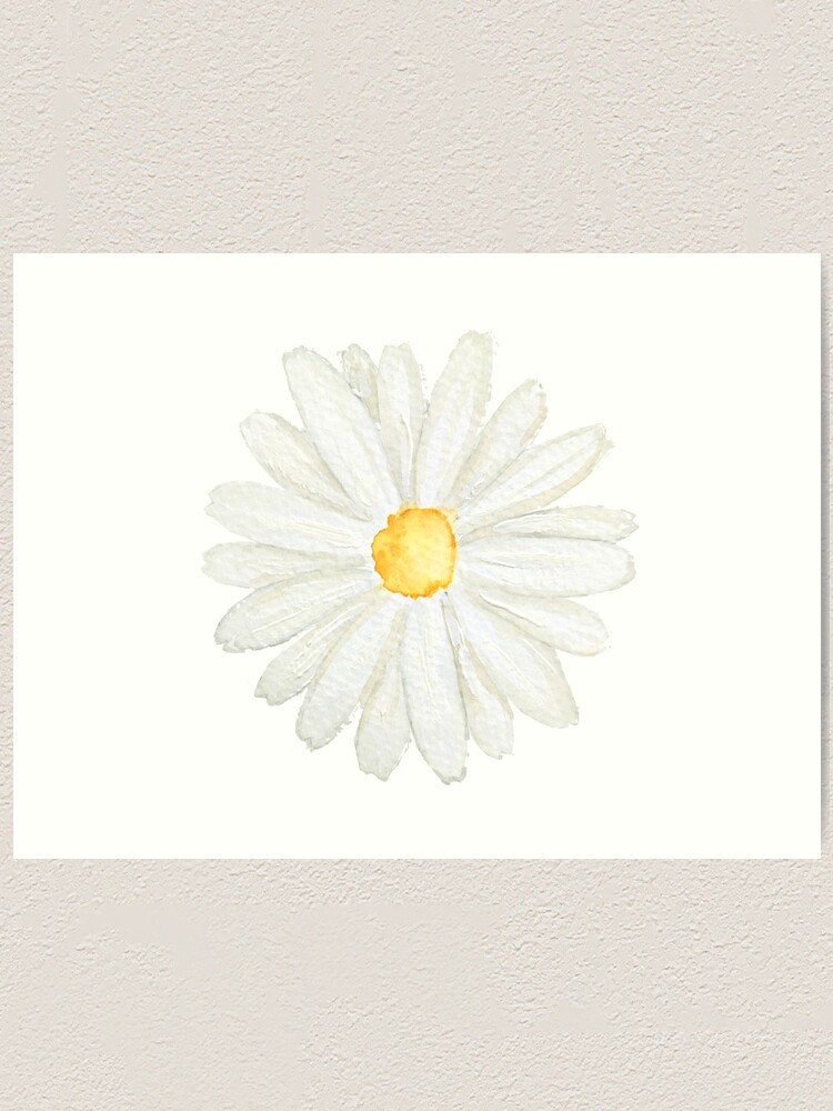 one little white daisy watercolor \