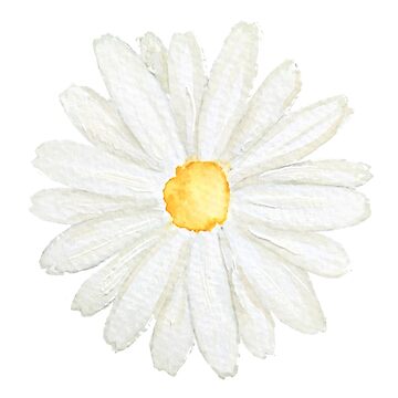Aperçu de l'œuvre peinte à la main une petite aquarelle de marguerite blanche de ColorandColor