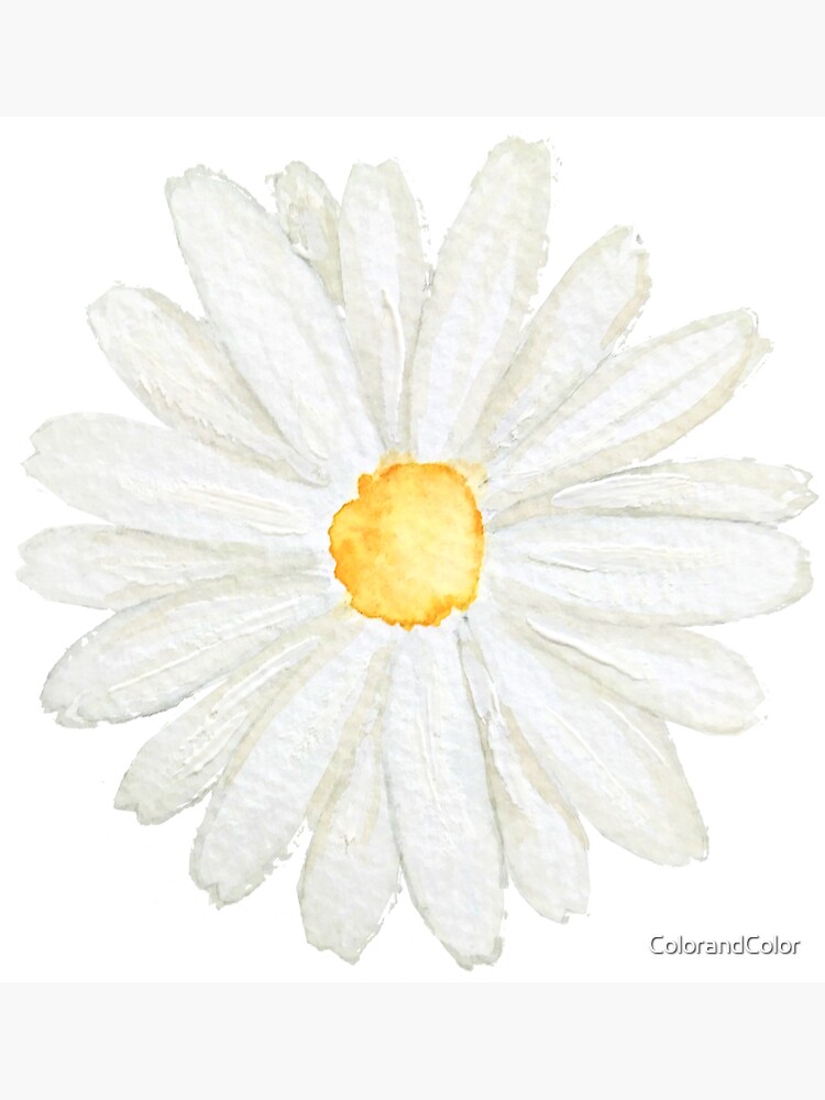 Black and White Watercolor Daisy Doodle | Sticker