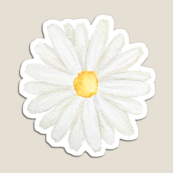 one little white  daisy watercolor  Magnet