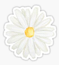 one little white daisy watercolor Sticker