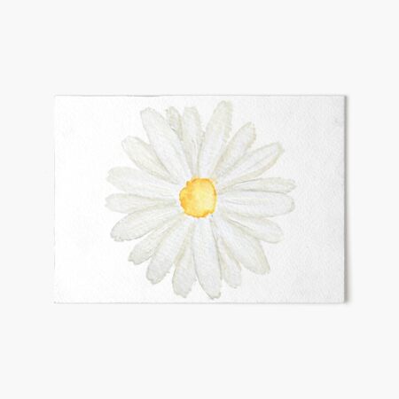 one little white daisy watercolor Art Board Print