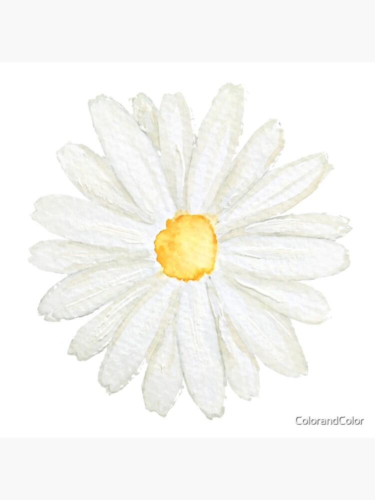 Aperçu 5 sur 5. Dessous de verre (lot de 4) avec l'œuvre peinte à la main une petite aquarelle de marguerite blanche créée et vendue par ColorandColor.