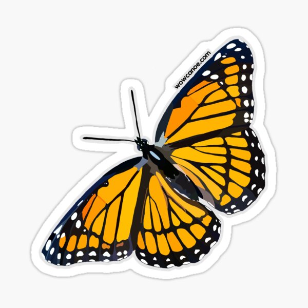 "Monarch Butterfly WoW Canoe" Sticker for Sale by wowcanoe Redbubble