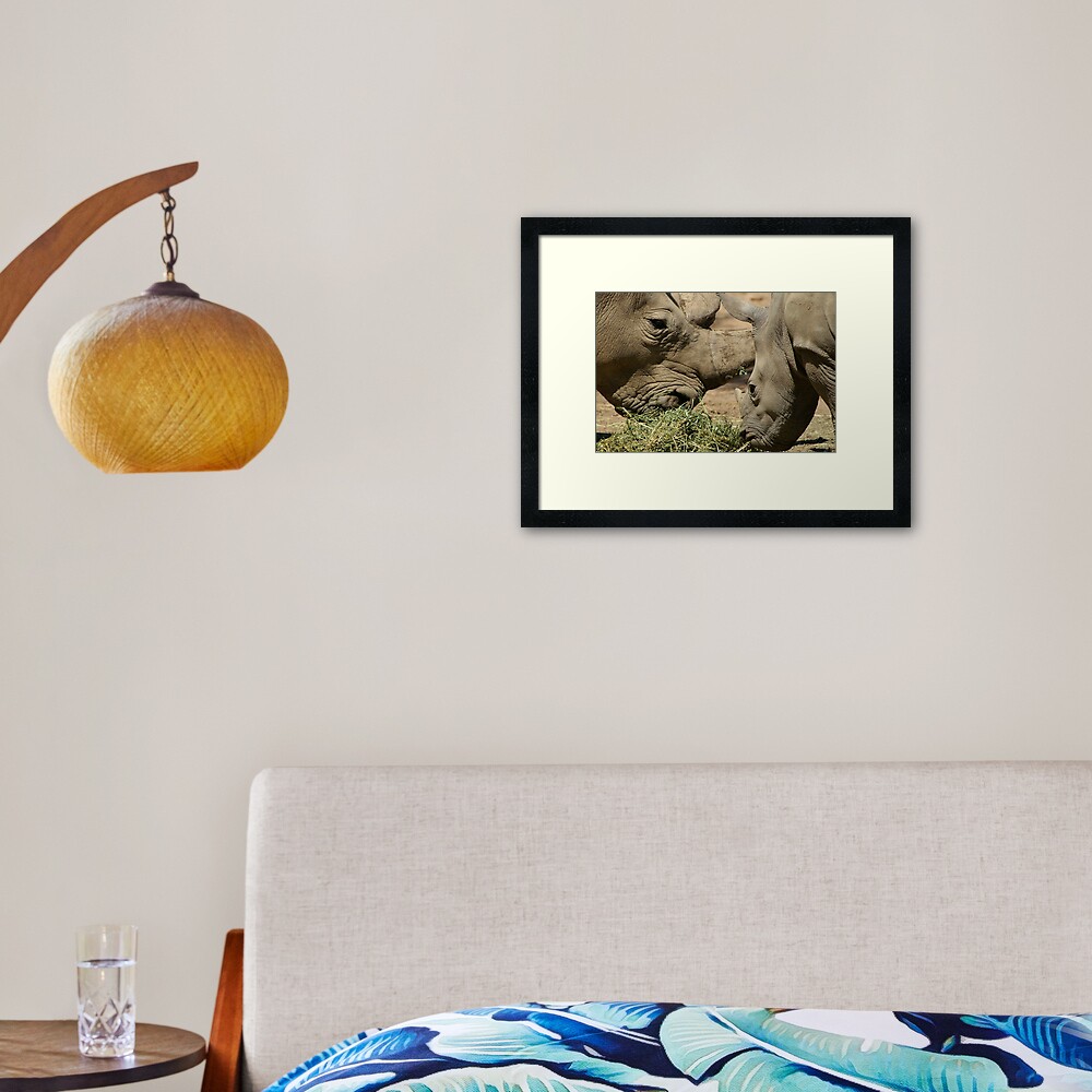 Father and baby rhino Framed Art Print