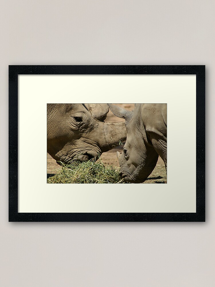 Alternate view of Father and baby rhino Framed Art Print