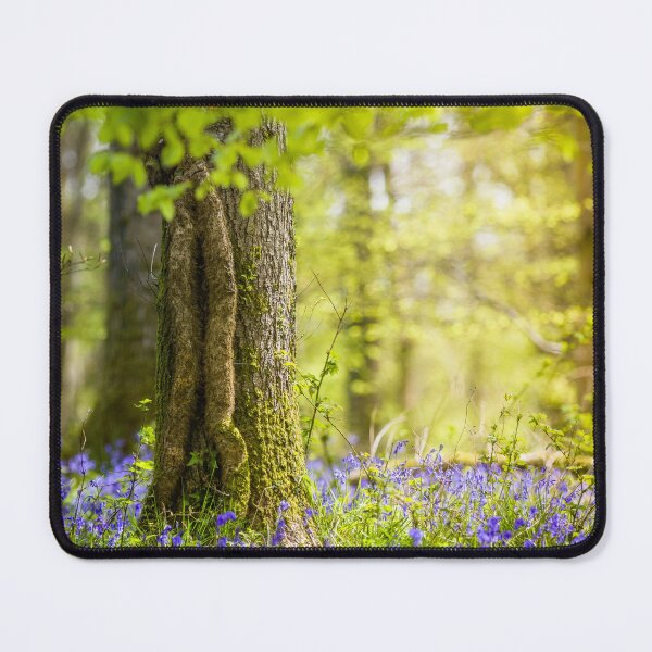 Item preview, Stunning Bluebell Wood Forest of Dean designed and sold by CyaniRose.