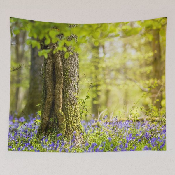 Item preview, Stunning Bluebell Wood Forest of Dean designed and sold by CyaniRose.