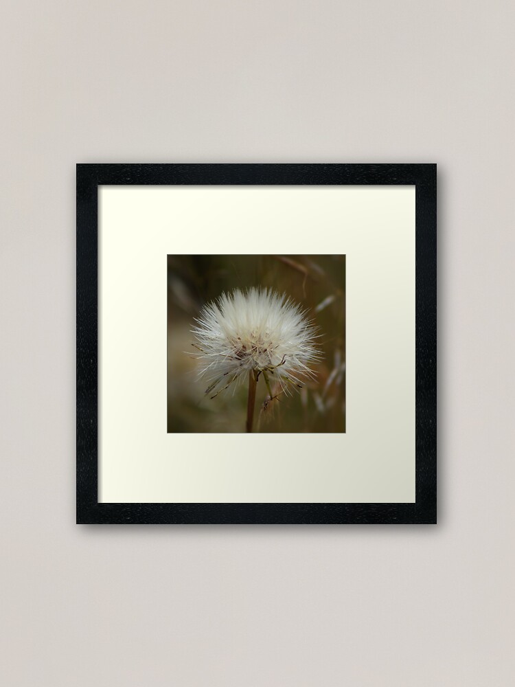 Alternate view of Dandelion for wish making Framed Art Print