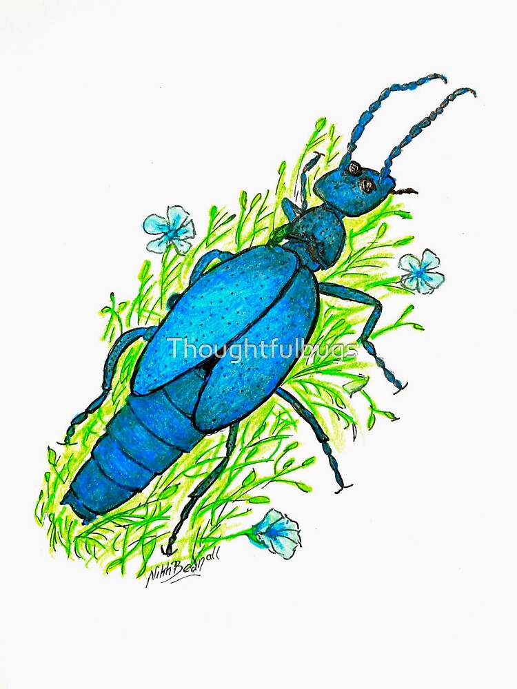 Oil Beetle On Flax by Thoughtfulbugs