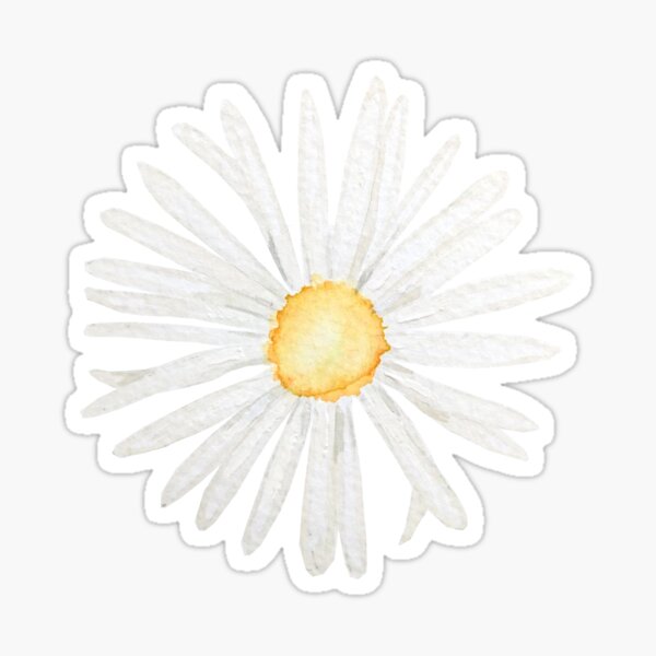 Three Daisy Flowers  Sticker for Sale by dil-emmas