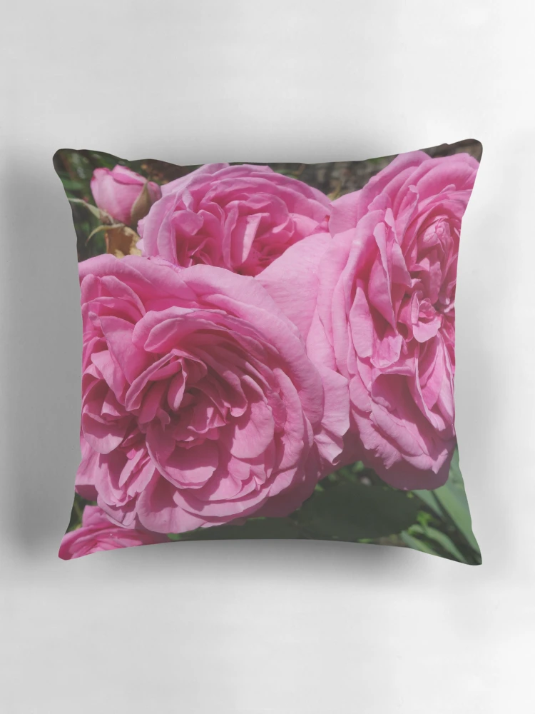 Thumbnail 3 of 4, Pillow, Pink Roses designed and sold by pluspixels.