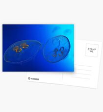 A Blue World Postcards