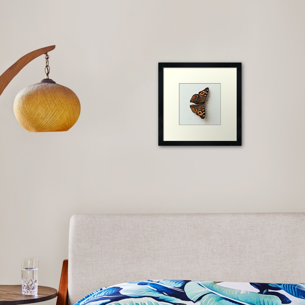 Natural butterfly right Framed Art Print