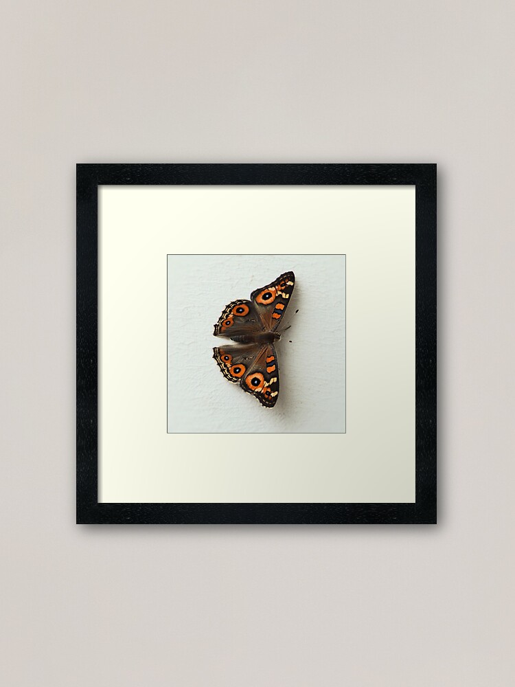 Alternate view of Natural butterfly right Framed Art Print