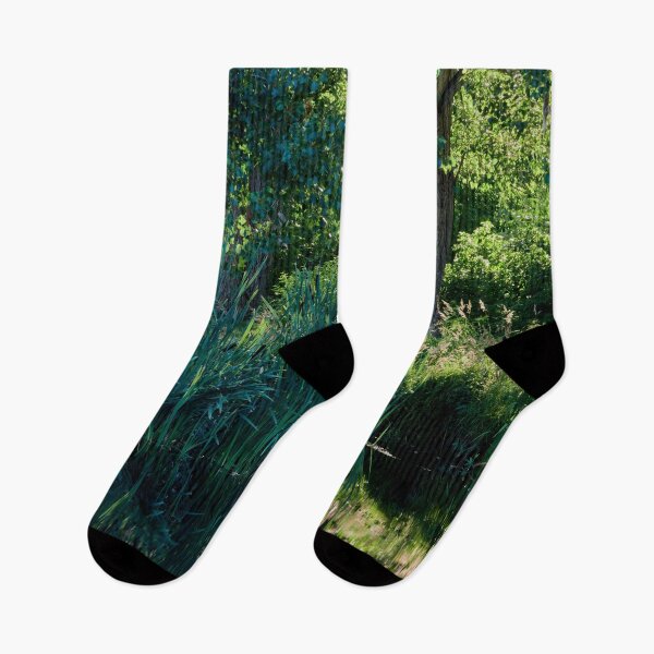 Item preview, By the pond  at Arboretum1 designed and sold by Jouko Lehto Photography.