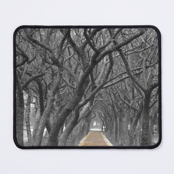 Item preview, Path designed and sold by swan2sky.