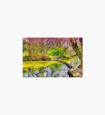 The Stepping Stones - Box Hill - Orton Art Board