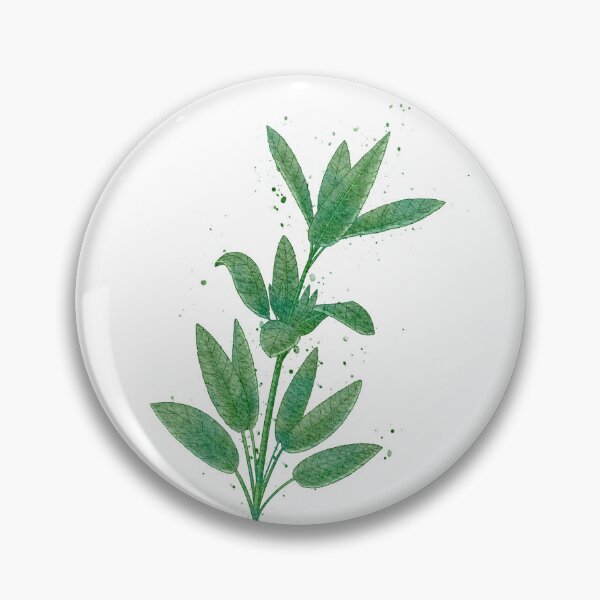 Item preview, Watercolor Culinary Herbs: Sage designed and sold by LittleSunShoppe.