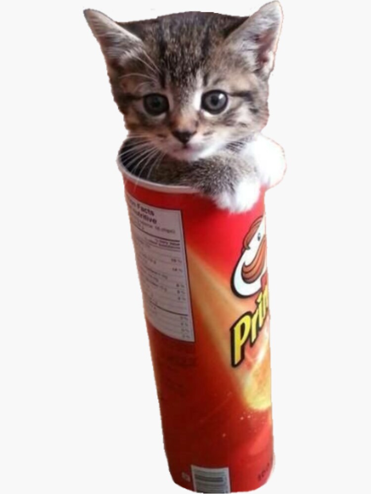 Cute Cat In Pringles Packaging Sticker For Sale By Pusla Redbubble 3727