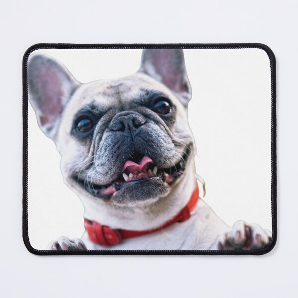 Item preview, Cute and Excited French Bulldog Saying Hello! designed and sold by Ronnie Fowles.