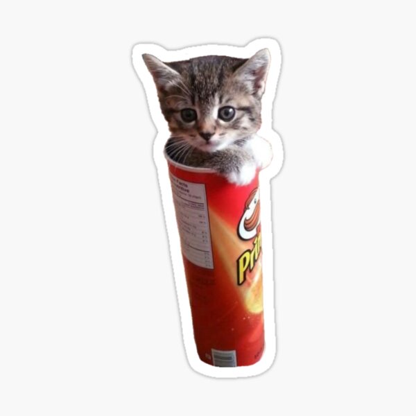 Cute Cat In Pringles Packaging Sticker For Sale By Pusla Redbubble 8240