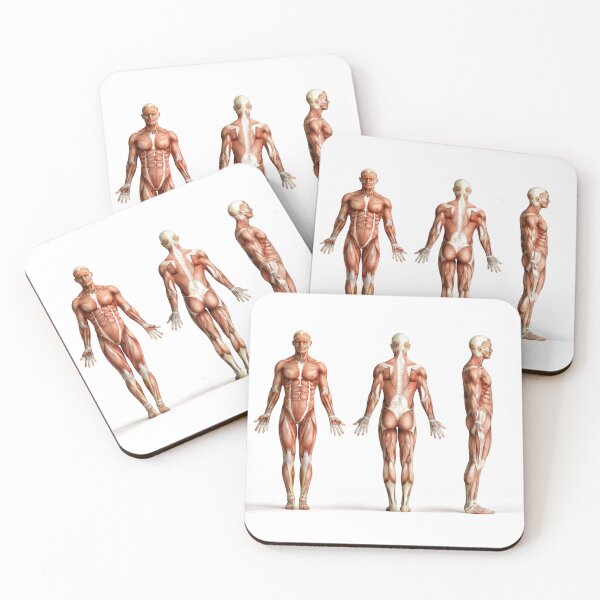 Item preview, Body Anatomy 11 Muscular Frame Stock Training Workout Motivación Cita Levantamiento de pesas Fitness Wall Art Print Gran regalo Gym Home Wall Decor Picture designed and sold by ConradSignature.