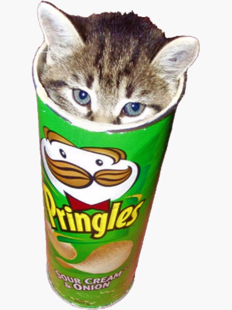 Cute Cat In Pringles Packaging Sticker For Sale By Pusla Redbubble 1818