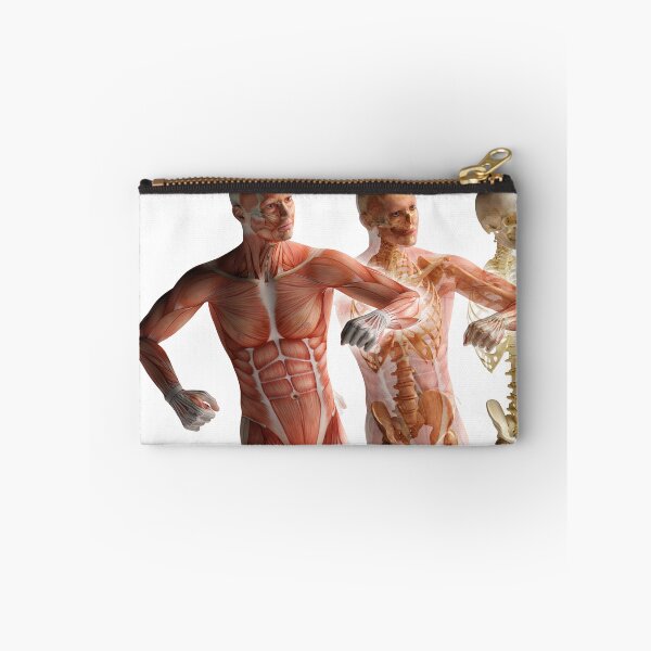 Item preview, Body Anatomy 13 Muscular Frame Stock Training Workout Motivation Quote Weight Lifting Fitness Wall Art Print Great Gift Gym Home Wall Decor Picture designed and sold by ConradSignature.