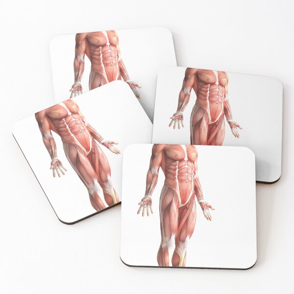 Item preview, Body Anatomy 14 Muscular Frame Stock Training Workout Motivation Quote Weight Lifting Fitness Wall Art Print Great Gift Gym Home Wall Decor Picture designed and sold by ConradSignature.