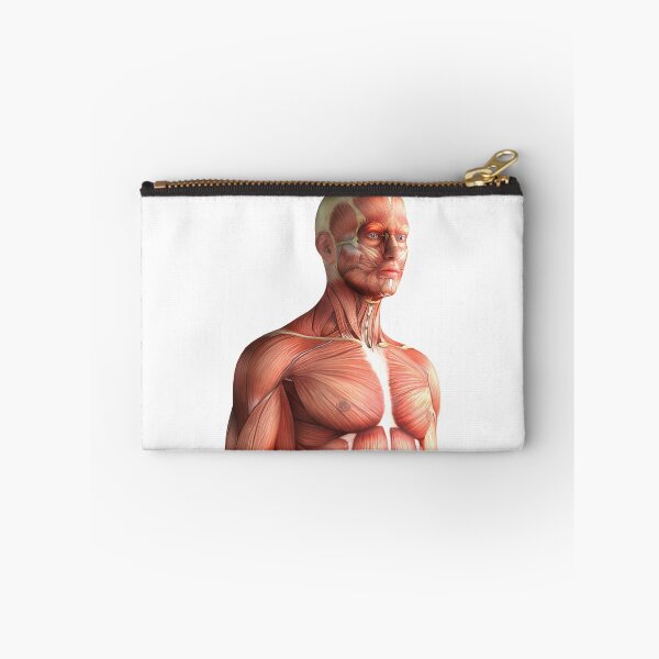 Item preview, Body Anatomy 14 Muscular Frame Stock Training Workout Motivation Quote Weight Lifting Fitness Wall Art Print Great Gift Gym Home Wall Decor Picture designed and sold by ConradSignature.