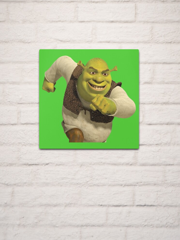 Screaming Shrek  Metal Print for Sale by SunnyMoonCrafts