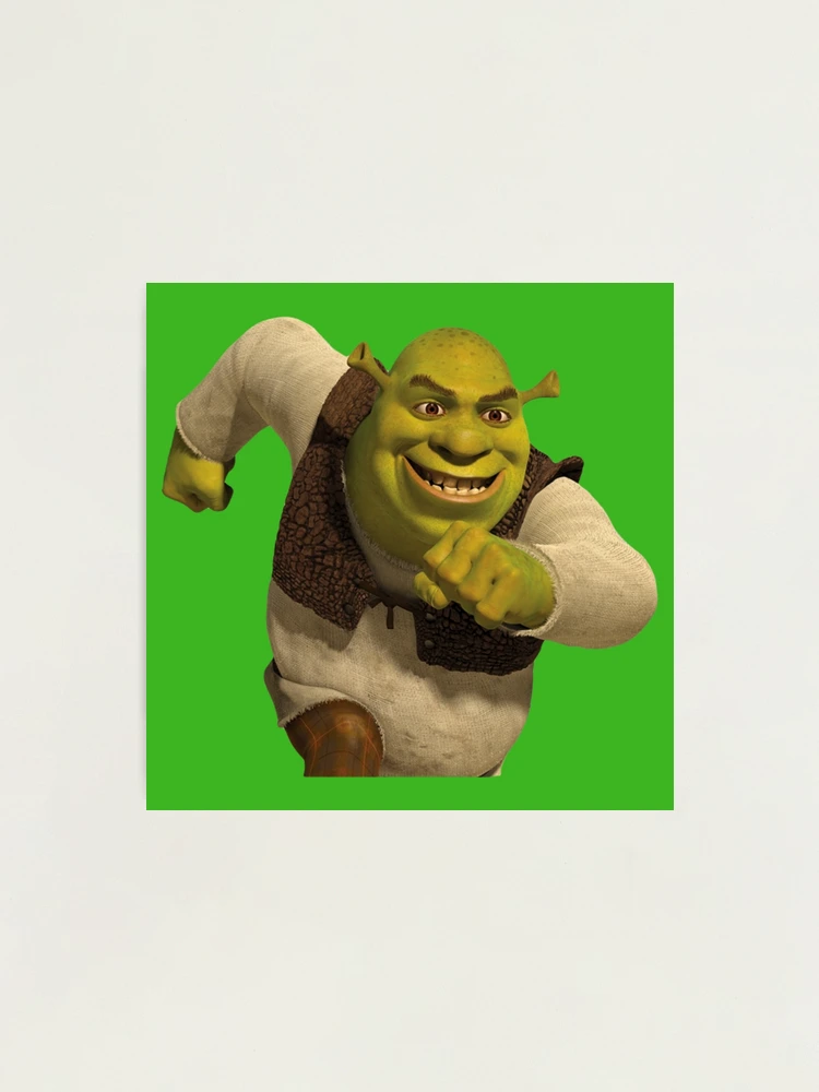 Shrek Funny Meme Premium Matte Vertical Poster sold by Hausafrench