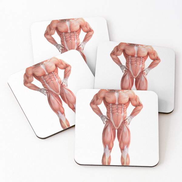 Item preview, Body Anatomy 16 Muscular Frame Stock Training Workout Motivation Quote Weight Lifting Fitness Wall Art Print Great Gift Gym Home Wall Decor Picture designed and sold by ConradSignature.