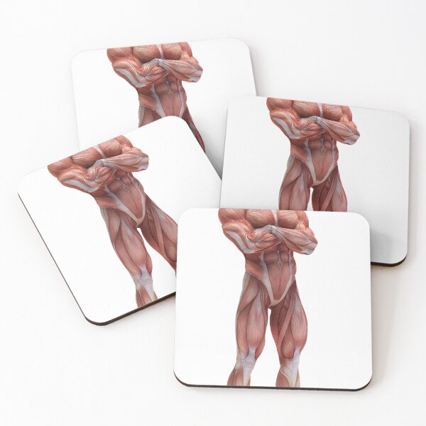 Item preview, Body Anatomy 15 Muscular Frame Stock Training Workout Motivation Quote Weight Lifting Fitness Wall Art Print Great Gift Gym Home Wall Decor Picture designed and sold by ConradSignature.