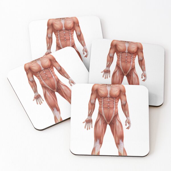 Item preview, Body Anatomy 18 Muscular Frame Stock Training Workout Motivation Quote Weight Lifting Fitness Wall Art Print Great Gift Gym Home Wall Decor Picture designed and sold by ConradSignature.