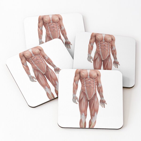 Item preview, Body Anatomy 20 Muscular Frame Stock Training Workout Motivation Quote Weight Lifting Fitness Wall Art Print Great Gift Gym Home Wall Decor Picture designed and sold by ConradSignature.
