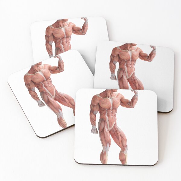 Item preview, Body Anatomy 22 Muscular Frame Stock Training Workout Motivation Quote Weight Lifting Fitness Wall Art Print Great Gift Gym Home Wall Decor Picture designed and sold by ConradSignature.