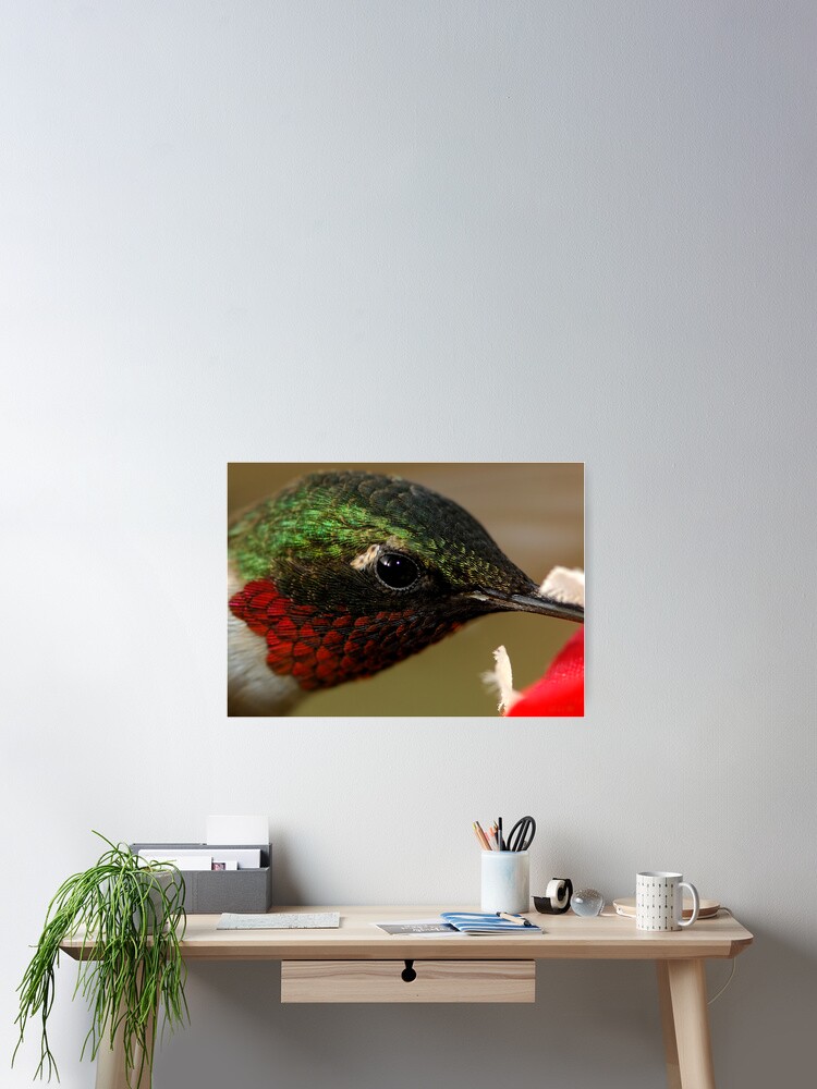 Thumbnail 2 of 3, Poster, Lil' Tiny Feathers designed and sold by CameraView.