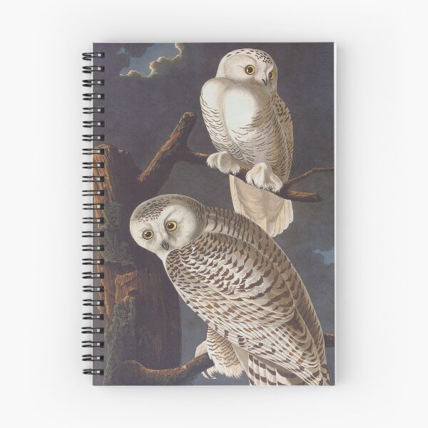Item preview, Audubon Snowy Owls designed and sold by Candice Davis.