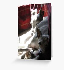 Best Friends Greeting Card
