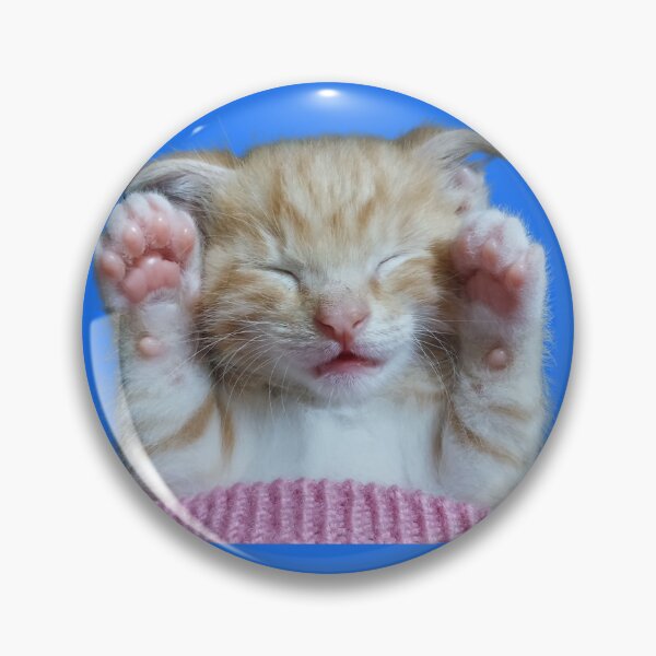 Item preview, funny cute cat kitten kitty pet meme kawai licking paw designed and sold by syhamSHOP.