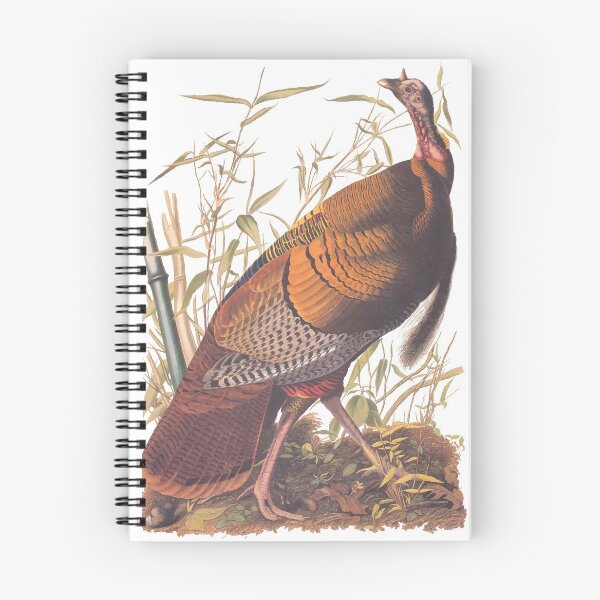 Item preview, Audubon Wild Turkey designed and sold by Candice Davis.