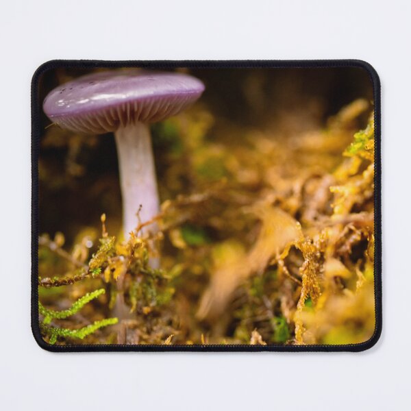 Item preview, A Tiny World designed and sold by akiobsession.