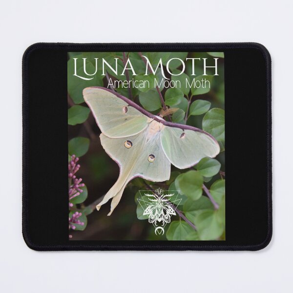Item preview, Luna Moth American Moon Moth Digital Design designed and sold by EarthArtDesigns.
