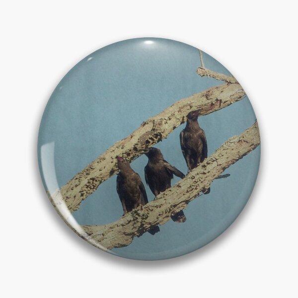Item preview, 3 Crows designed and sold by Frankie Cat Photography.
